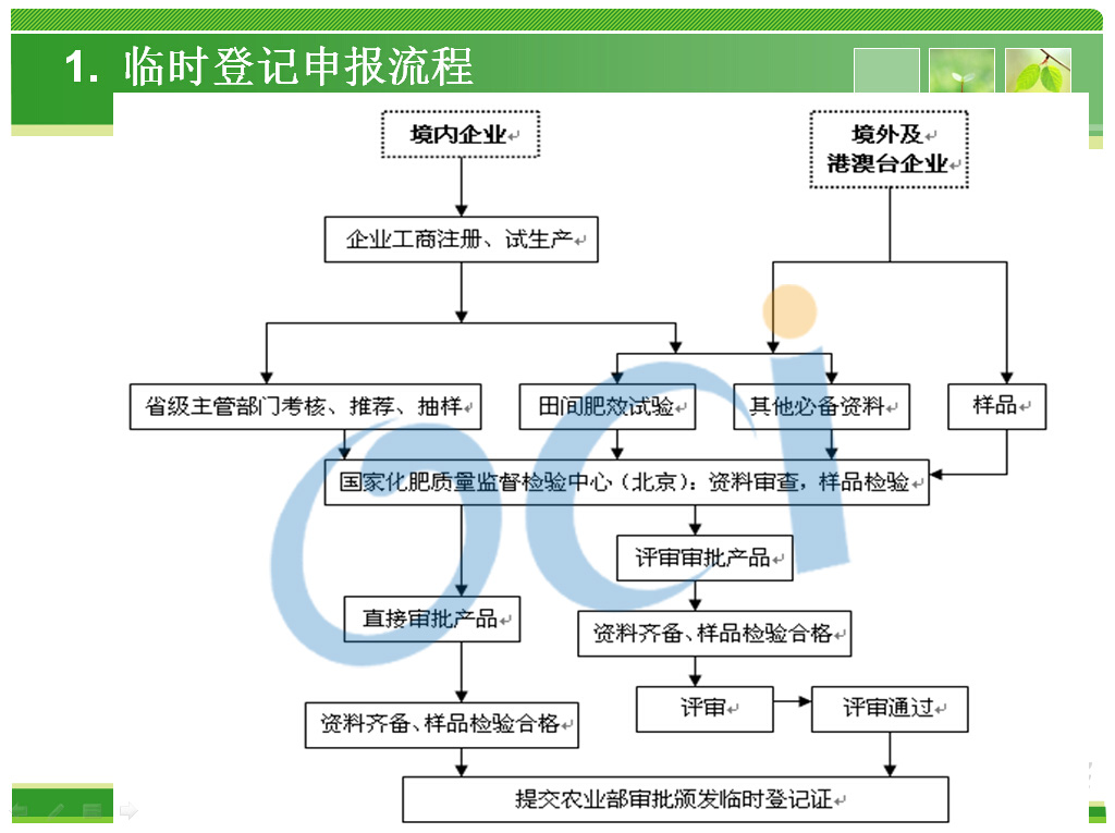 临时登记申报流程.jpg
